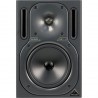 Behringer B2030A
