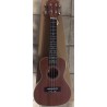 Ars Nova AN-100 C NT - ukulele koncertowe