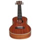 Ukulele koncertowe Segovia SE-20 C NT