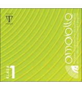 Triangiel Amabile 1 - program do kształcenia słuchu