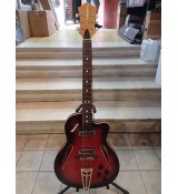 Defil Malwa - gitara elektryczna - po renowacji