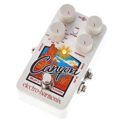 Electro Harmonix Canyon Delay & Looper