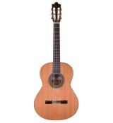 Prodipe Guitars Recital 300 4/4 - gitara klasyczna