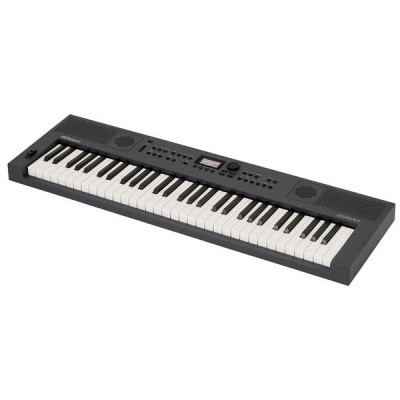 Roland GO:KEYS 5 GT