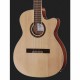 Harley Benton Santos Series C-40SCE NT