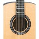 Luna Artist Nouveau - gitara elektroakustyczna