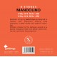 Galli V039 - struny do mandoliny