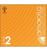 Triangiel Amabile 2 - program komputerowy do kształcenia słuchu