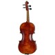 Franz Sandner Meisterwerk Guarneri Vn 4/4