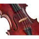 Franz Sandner Meisterwerk Guarneri Vn 4/4