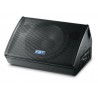 FBT Verve-115-M - pasywny monitor 300 W