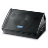 FBT Verve-112-M - monitor pasywny 300 W