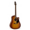 Seagull ENTOURAGE RUSTIC CW QI 