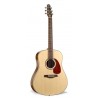 Seagull MARITIME SWS SG QI
