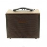 AGA SC40 - WZMACNIACZ DO GITARY AKUSTYCZNEJ 40W