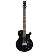 Parker PM24 VB - gitara elektryczna