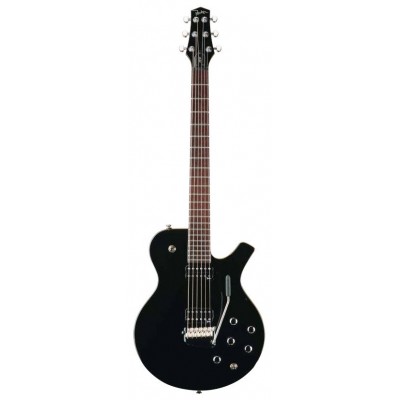 Parker PM24 VB - gitara elektryczna